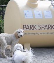 Park-Spark-involvement