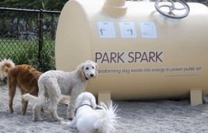 Park Spark involvement